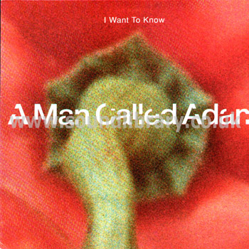 A Man Called Adam I Want To Know UK Issue 45 RPM 12" Front Sleeve Image