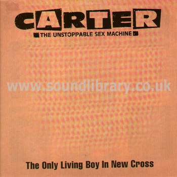 Carter The Unstoppable Sex Machine The Only Living Boy In New Cross UK Issue 12" Front Sleeve Image