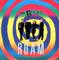 The B-52'S Roam UK Issue Stereo 12" Reprise W9827T Front Sleeve Image